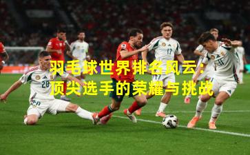 羽毛球世界排名风云：顶尖选手的荣耀与挑战