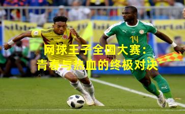 网球王子全国大赛：青春与热血的终极对决