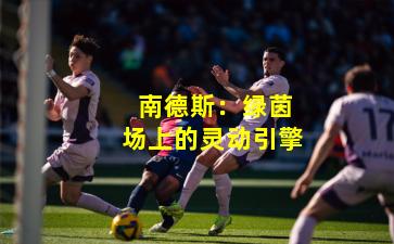  南德斯：绿茵场上的灵动引擎