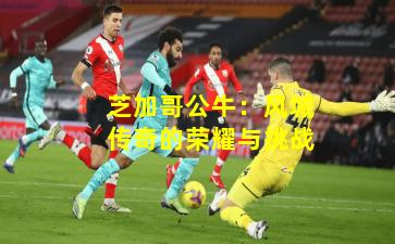 芝加哥公牛：风城传奇的荣耀与挑战