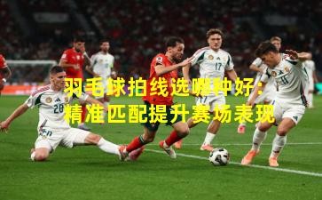 羽毛球拍线选哪种好:精准匹配提升赛场表现