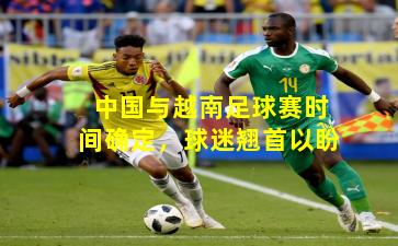 中国与越南足球赛时间确定，球迷翘首以盼