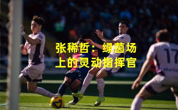 张稀哲：绿茵场上的灵动指挥官