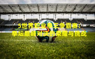  5世界职业拳王争霸赛：拳坛巅峰对决的荣耀与挑战