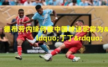 德布劳内缘何被中国球迷昵称为“丁丁”