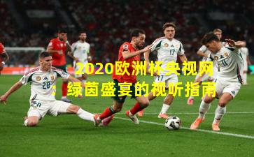 2020欧洲杯央视网：绿茵盛宴的视听指南