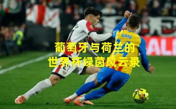 葡萄牙与荷兰的世界杯绿茵风云录