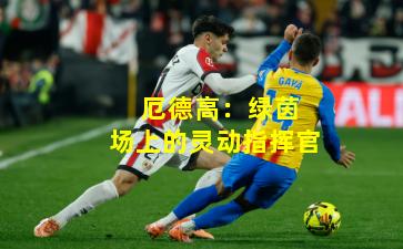  厄德高：绿茵场上的灵动指挥官